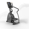 Matrix Endurance Stepper
