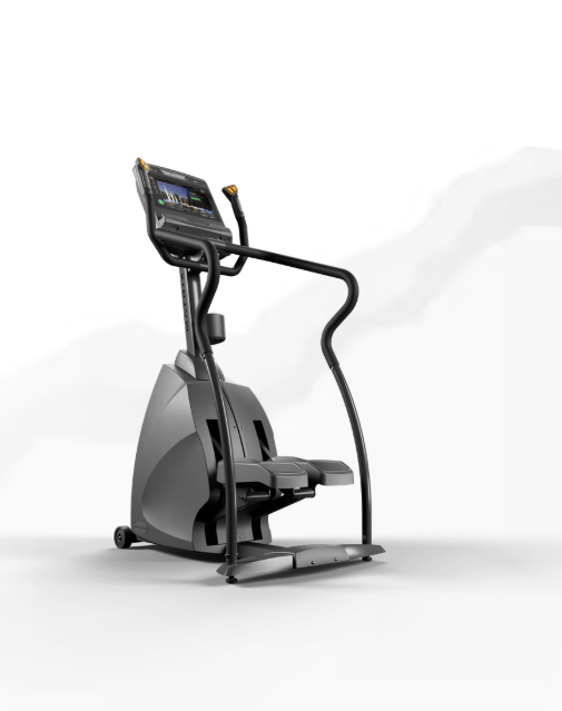 Matrix Endurance Stepper
